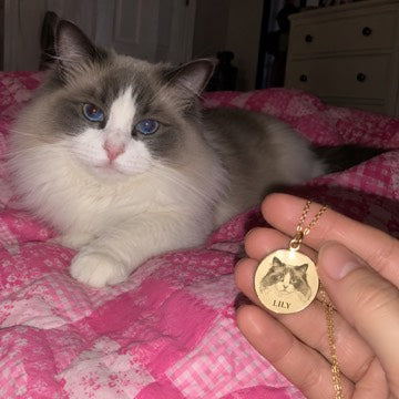 Illustration: A hand holds a gold LILY portrait necklace beside a blue-eyed ragdoll lounging on a pink quilt.