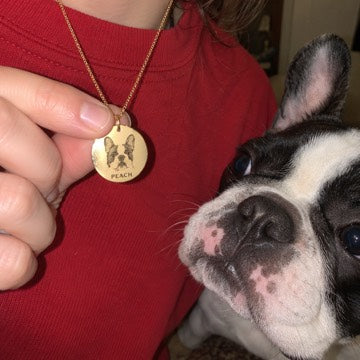 AI concept: Pied French bulldog beside Peach’s gold engraved necklace against a red sweatshirt.