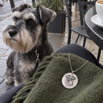 AI concept: Otis the miniature Schnauzer beside his silver portrait necklace on an olive scarf at a café.