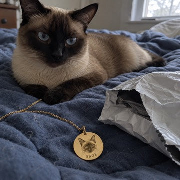 Illustration: Sage the seal-point Siamese beside a gold portrait necklace and opened mailer on a blue bedspread.
