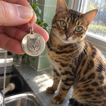 Illustration: Nala the Bengal at a green-tiled kitchen window beside a matching silver engraved portrait pendant.