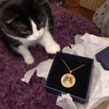 Illustration: Boots the tuxedo cat inspecting an open navy gift box containing a matching gold portrait necklace.